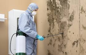 Environmental Consulting for Mold Prevention in Waterloo, IA